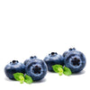 Nicotine Free E liquid Blueberry Flavour - NUCIG