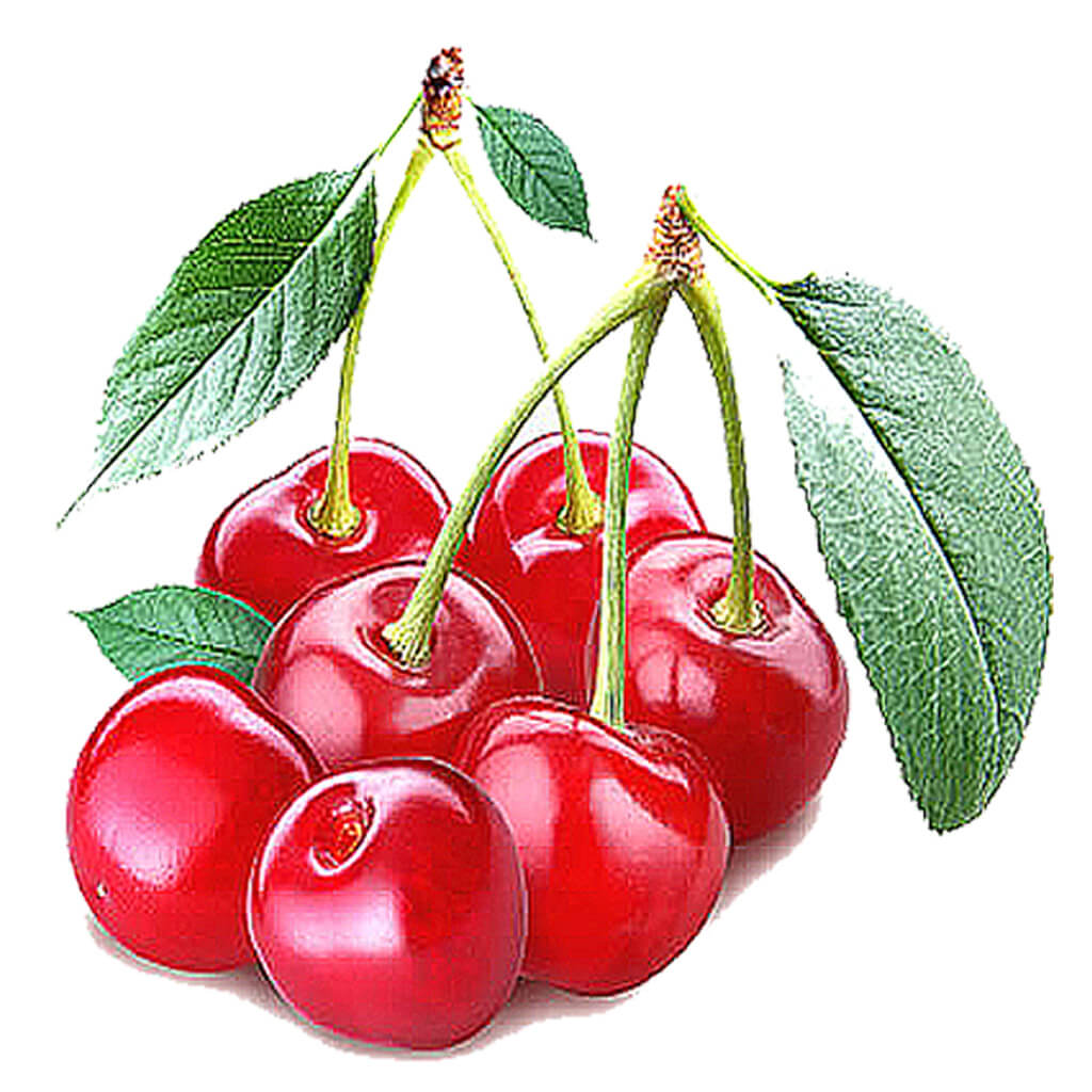 CIGAR Filter Pack - Cherry Flavour - NUCIG